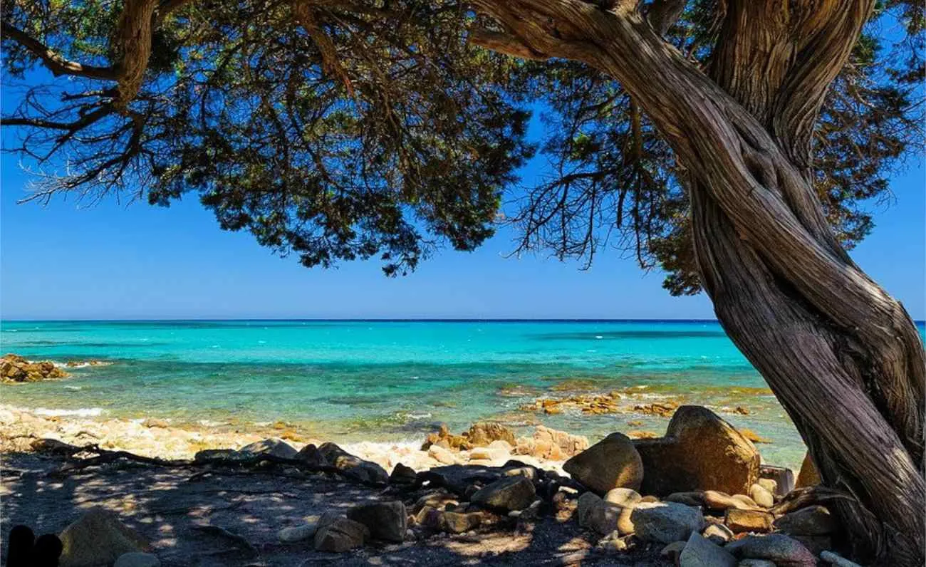 Ginepri e mare turchese all'oasi di Bidderosa